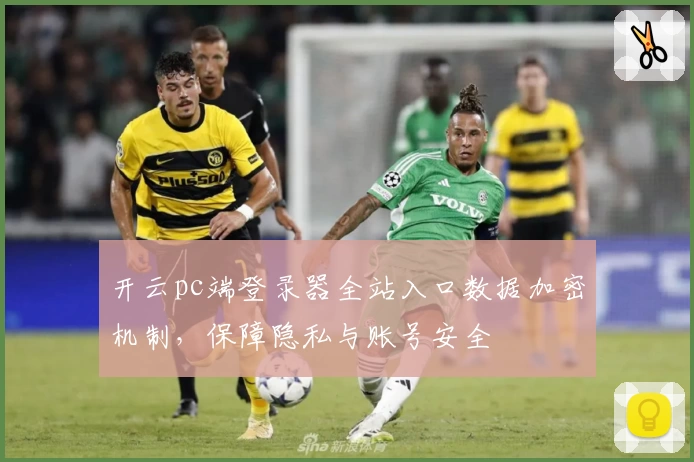 开云pc端登录器全站入口数据加密机制，保障隐私与账号安全
