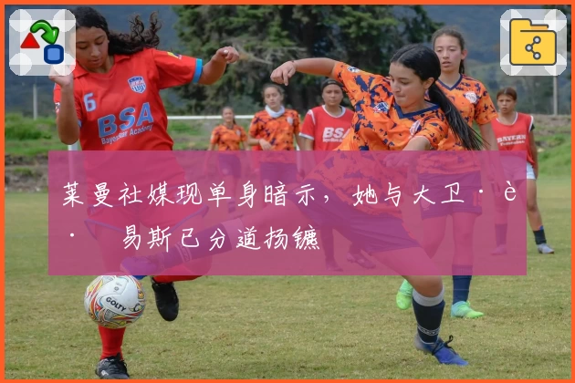 莱曼社媒现单身暗示，她与大卫·路易斯已分道扬镳