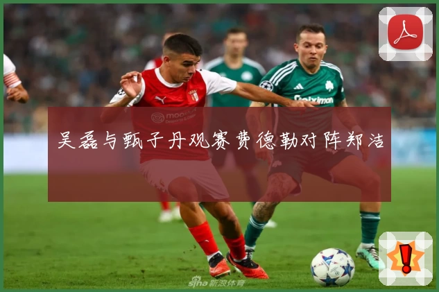 吴磊与甄子丹观赛费德勒对阵郑洁