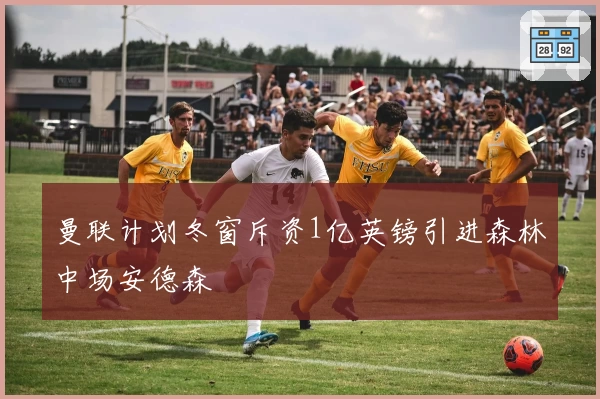 曼联计划冬窗斥资1亿英镑引进森林中场安德森