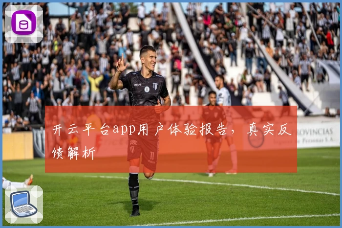 开云平台app用户体验报告，真实反馈解析